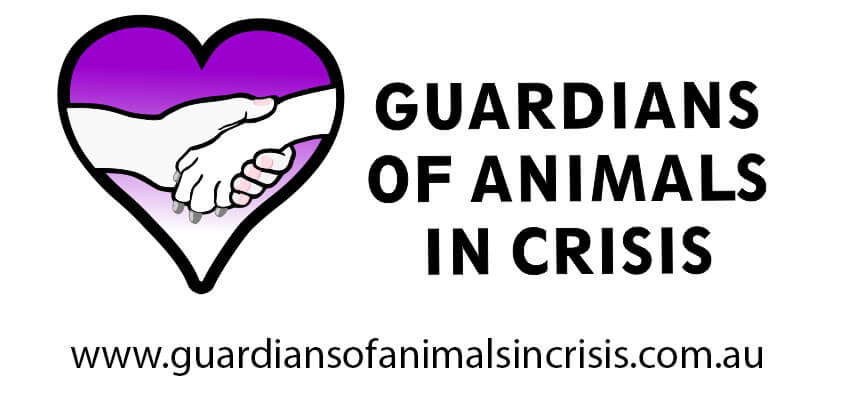 Above & Beyond Dog Rehabilitation Gaurdians Of Animals In Crisis Logo