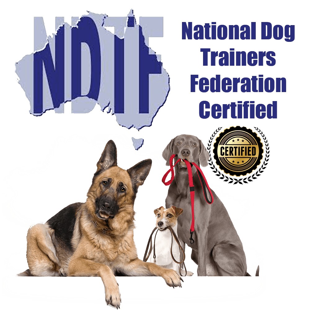 NDTF Trainer Certified Cathy Grant Above & Beyond Dog Training & Rehabilitation