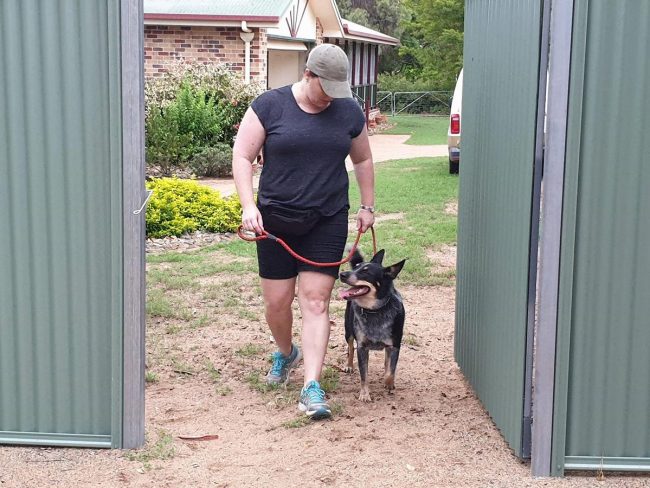 1 (Copy) Above & Beyond Dog Training Maximum Stress Max