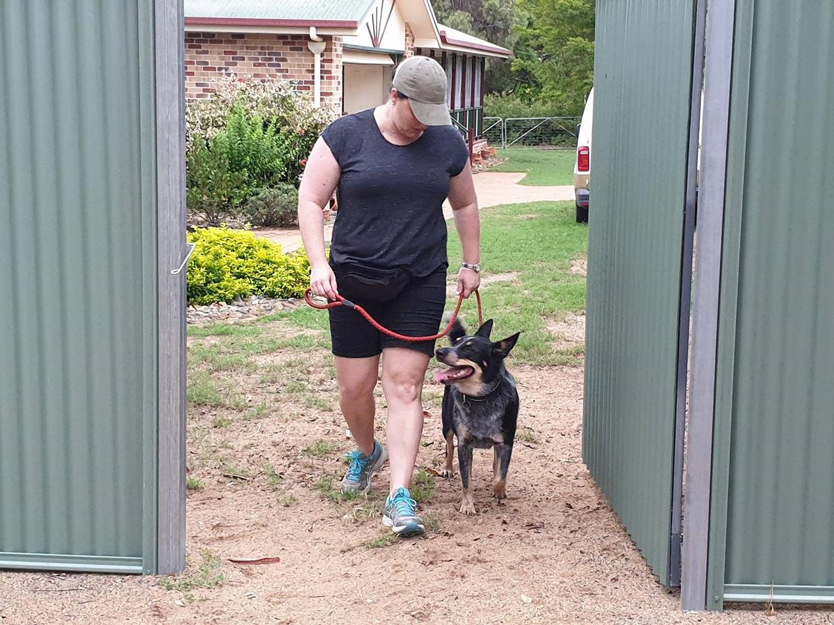 1 (Copy) Above & Beyond Dog Training Maximum Stress Max