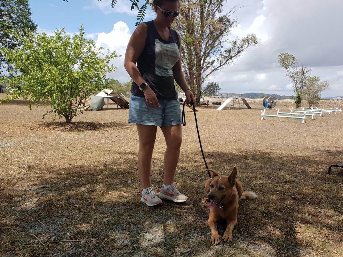 Above & Beyond Dog Training & Rehabilitation Islay