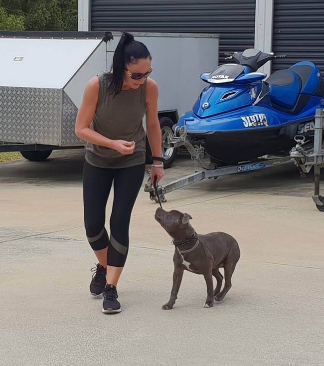 Tank Above & Beyond Dog Training & Rehabilitation