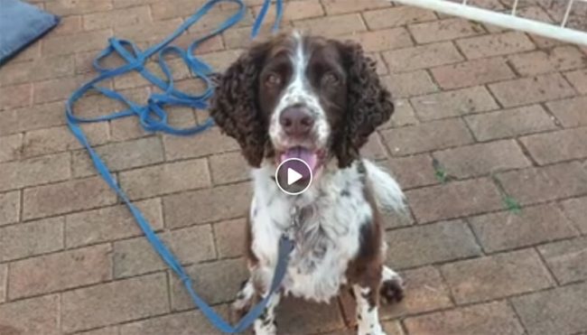 Baileys Dramatic change